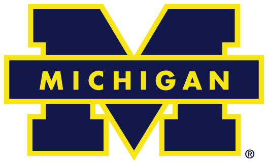 Michigan Wolverines 1988-1996 Primary Logo diy iron on heat transfer